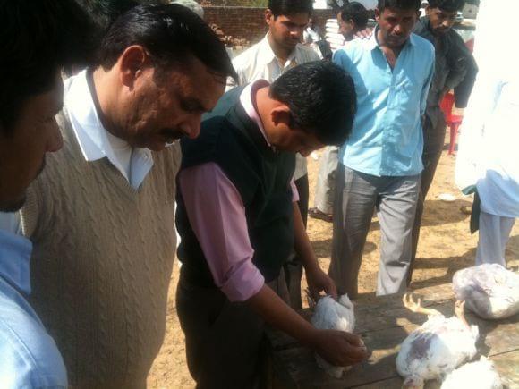 Service to the farmer
