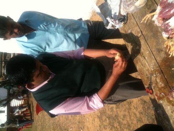 Disease diagnosis to help the farmers