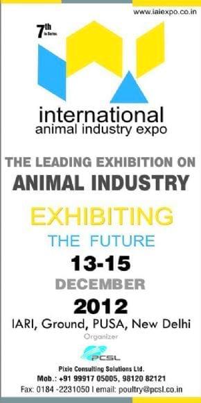 detail of IAI expo 2011