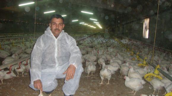 poultry diseases