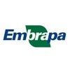 Embrapa