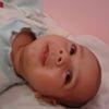 mohammed elwan mnshawy
