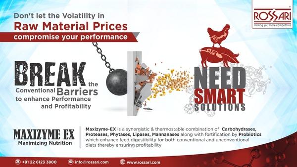 Use Maxizyme EX to counter such challenges and ensure Optimized Performance and Profitability of your flock - Image 1