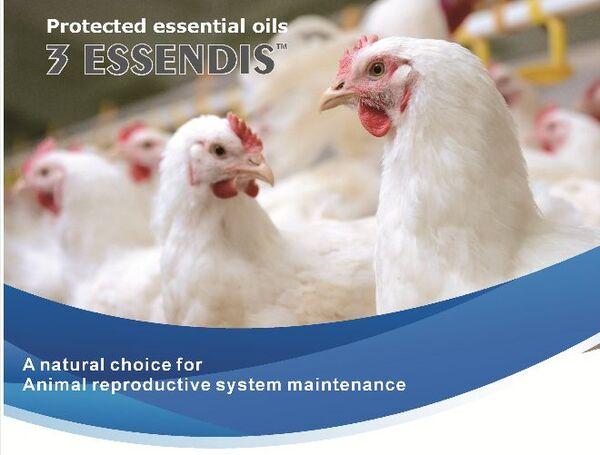 Veterinary raw materials market - Image 7
