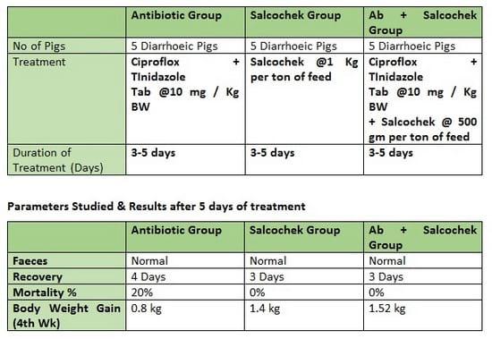 Preventing Weaning Diarrhoea using Salcochek Pro premix - Image 1