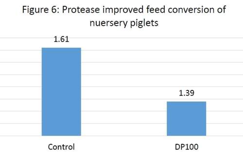Alleviating Soybean Allergenic Proteins Hindering Nursery Performance - Image 6