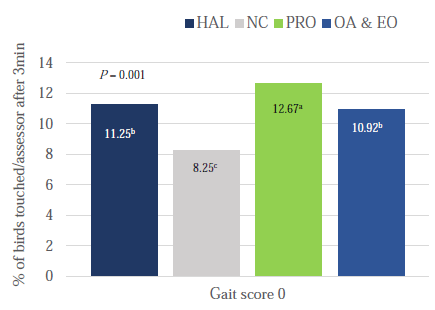 Figure 2 - Results of approximation test results expressed in % of birds touched by the assessor after 3 minutes in a pen (for broilers with score Gait 0) per treatment group.