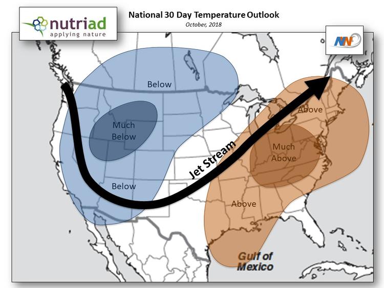 Welcome to the October Nutriad Weather and Mycotoxin report! - Image 4