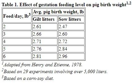 Improving Preweaning Survival of Pigs - Image 1