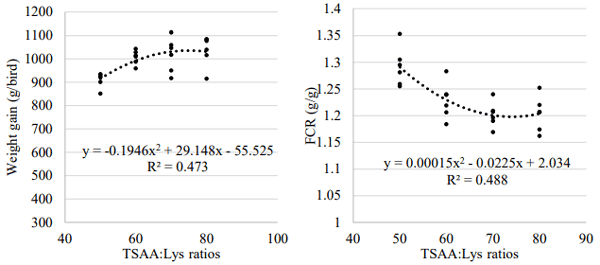 Figure 1- Quadratic influence of Digestible TSAA:Lys ratios on weight gain (P = 0.001) and FCR (P < 0.0001) in broiler chickens from 0-21 days