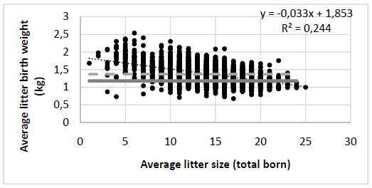 Relationship between litter size (as total number of pigs born) and litter average birth weight. The average litter birth weight over the population is 1.37 kg (dashed grey line). The solid grey line shows the critical breakpoint in individual birth weight (1.18 kg) for mortality at d4 after birth. 