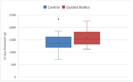 Figure 1 - Influence of Guided Biotics™ on bird liveweight at 42 days of age (g).