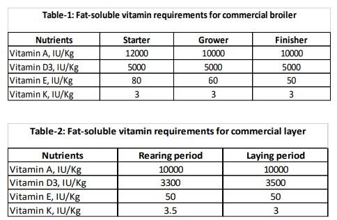 Importance of Fat-Soluble Vitamins in Poultry Health and Nutrition - Image 1
