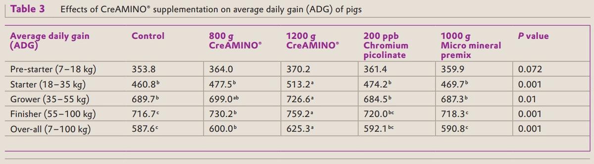 CreAMINO® supplementation improves growth performance and lean meat yield of pigs - Image 3