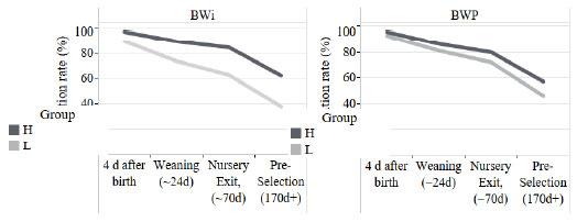 The effect of individual gilt birth weight (Bwi) and sow birth weight phenotype (BWP) on retention rate (%) from birth to “Pre-selection” at 170 d. Retention rates for the extrem High (H) and Low (L) phenotypes are shown. 