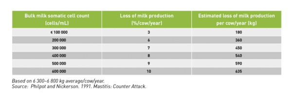 Yeast postbiotic helps reduce SCC in dairy cows under challenging conditions - Image 1