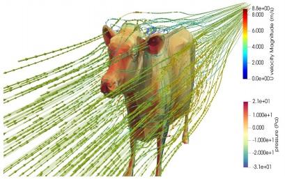 Dairy Cows: Effects of Air Velocity - Image 3