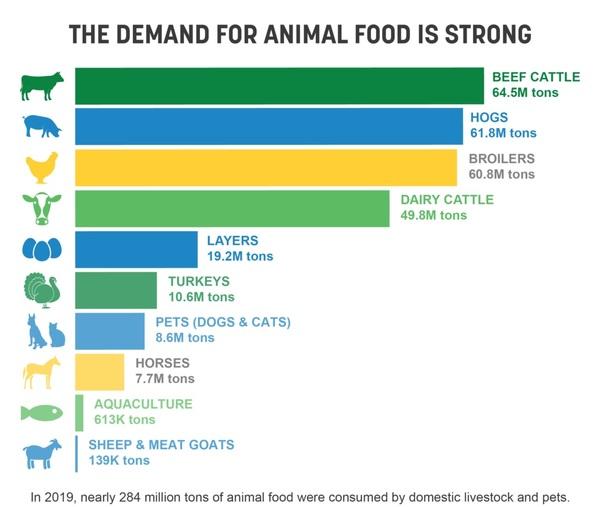 IFEEDER Finds Demand for Animal Food Strong, Despite COVID-19 - Image 1
