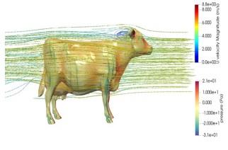 Dairy Cows: Effects of Air Velocity - Image 2