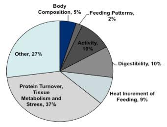 Figure 1: Factors contributing to individual animal differences in residual feed intake. (adapted from Richardson and Herd, (2004)