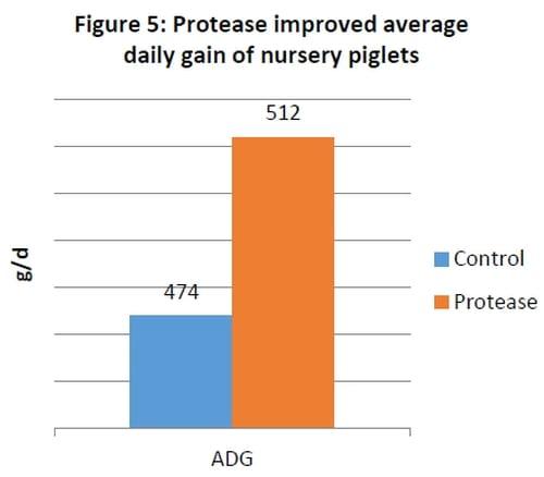 Alleviating Soybean Allergenic Proteins Hindering Nursery Performance - Image 5