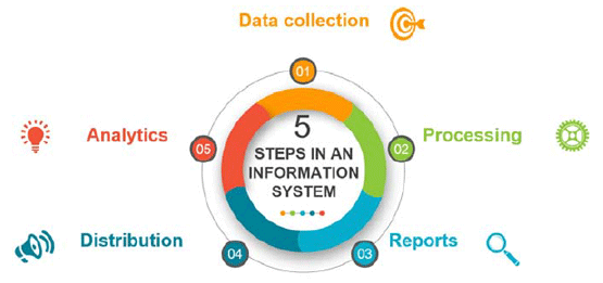 The five steps of an information system.