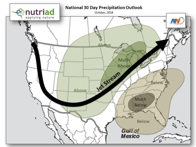 Welcome to the October Nutriad Weather and Mycotoxin report! - Image 3