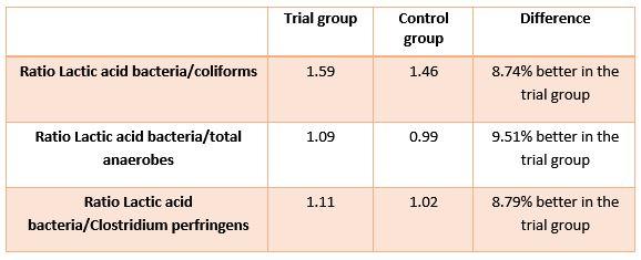 Contaminated drinking water as a risk factor for colibacilosis - Image 5