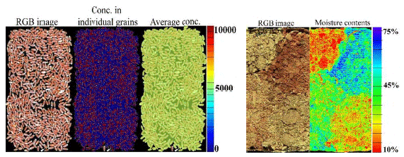 Figure 2 - Quantification of deoxynivalenol (μg/kg) in wheat samples (left) and moisture content of an array of four samples of chicken litter (re-used hardwood) ranging from 10-75% (right) using hyperspectral imaging (HSI, 950-2500 nm).