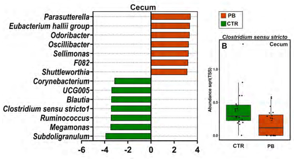 Figure 1 - LEfSe analysis identified Clostridium sensu stricto and Corynebacterium as significantly associated with control, and Eubacterium hallii group associated with PB.
