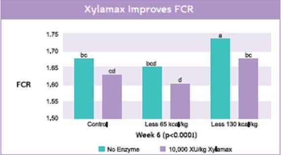 The effect of supplementing xylanase (Xylamax) on performance of commercial broilers fed decreasing levels of metabolizable energy - Image 4