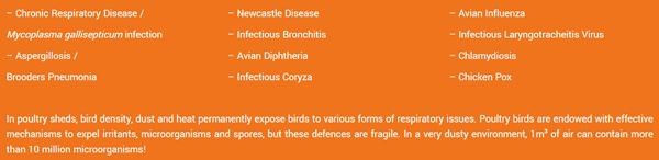 Common Respiratory Diseases of Poultry