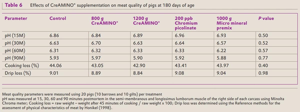 CreAMINO® supplementation improves growth performance and lean meat yield of pigs - Image 6