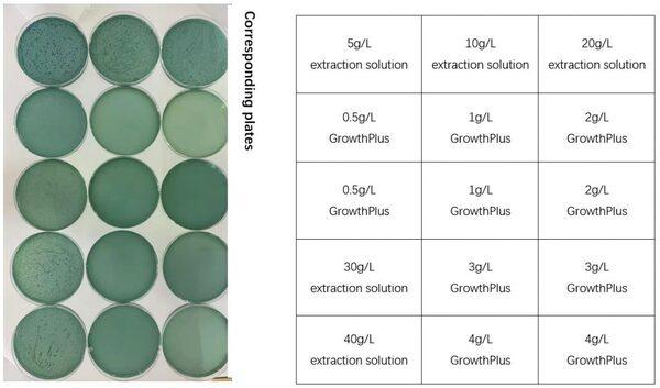Antibacterial effect of plant extracts against Vibrio parahaemolyticus - Image 5