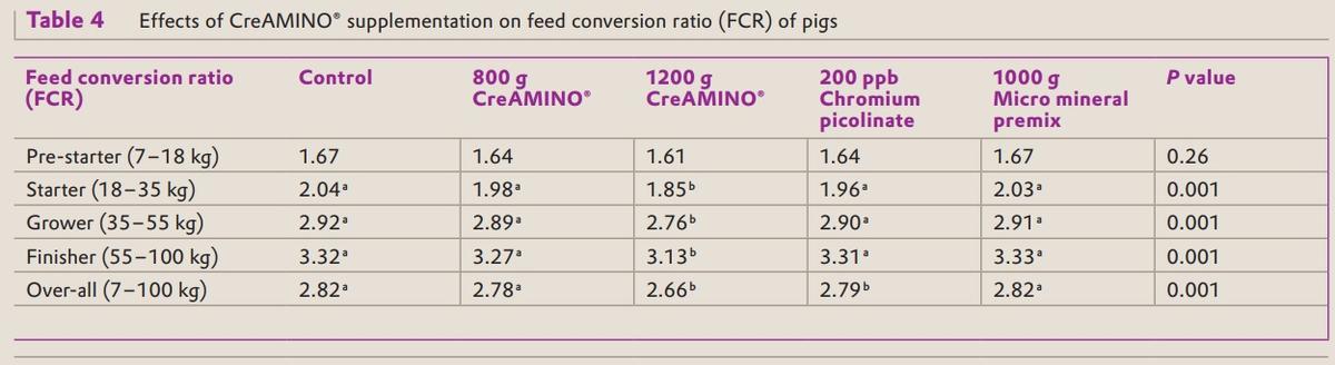 CreAMINO® supplementation improves growth performance and lean meat yield of pigs - Image 4