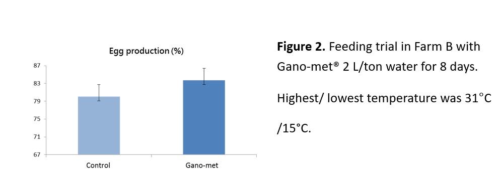 Effect of Gano-met® on egg production in laying hens - Image 2
