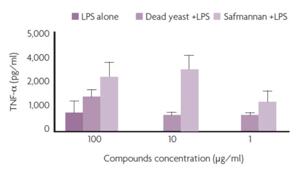 Yeast postbiotic helps reduce SCC in dairy cows under challenging conditions - Image 3