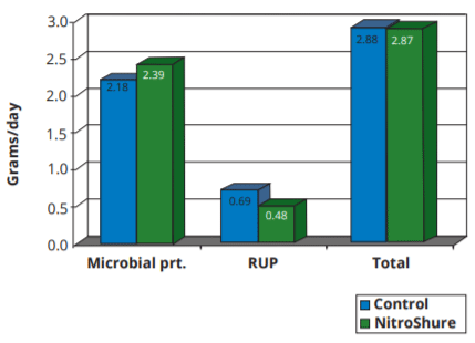 Figure 1. Impact of Replacing Soybean Meal with a Mixture of NitroShure, Corn and Molasses (Diet NS4 on Non-ammonia Nitrogen Flow.