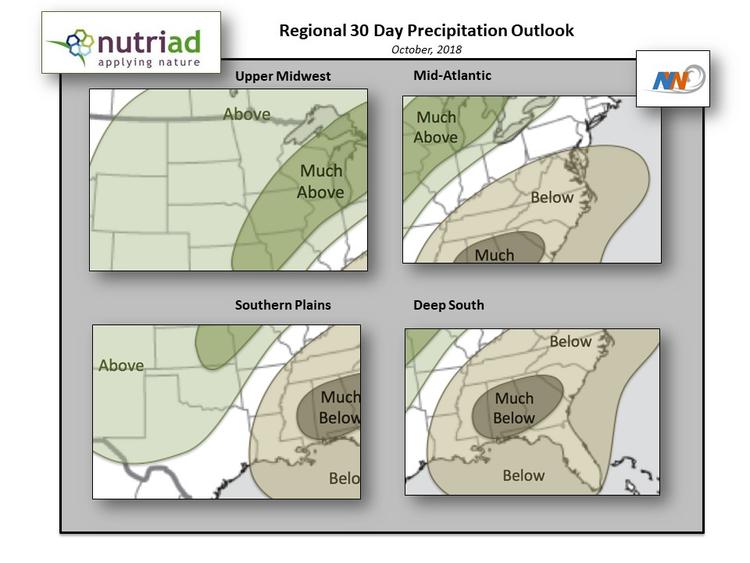 Welcome to the October Nutriad Weather and Mycotoxin report! - Image 5