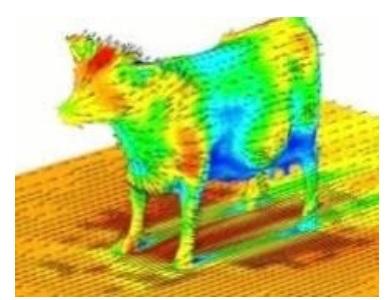 Dairy Cows: Effects of Air Velocity - Image 4