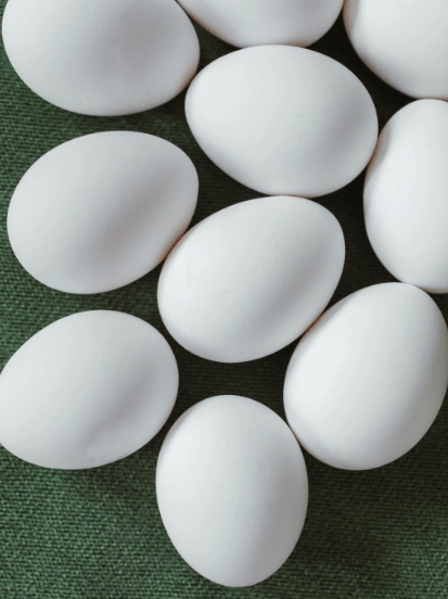 GLOBAL EGG PRODUCTION – KEY CONSUMER TRENDS & HOW NUTRITION PLAYS A ROLE