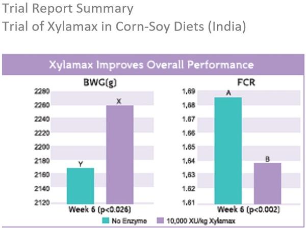 The effect of supplementing xylanase (Xylamax) on performance of commercial broilers fed decreasing levels of metabolizable energy - Image 2