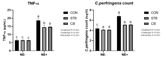 Figure 1. Effects of NE challenge and dietary treatments on TNF-α in serum and C.perfringens count in caecal content in broilers challenged with a necrotic enteritis infection model