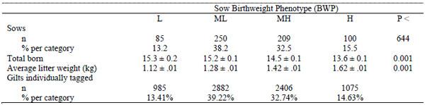 Summary statistics of measured traits in low (L), medium-low (ML), medium-high (MH) and high (H) birtweight phenotype sows.