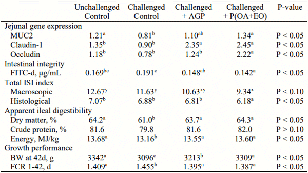 Table 1 - Jejunal gene expression of intestinal biomarkers, serum FITC-d, ISI® index, apparent ileal digestibility and growth performance of broilers undergoing an intestinal challenge. 