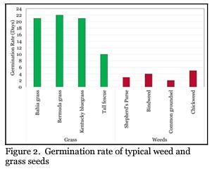 Does Poultry Litter Contain Weed Seeds? - Image 3