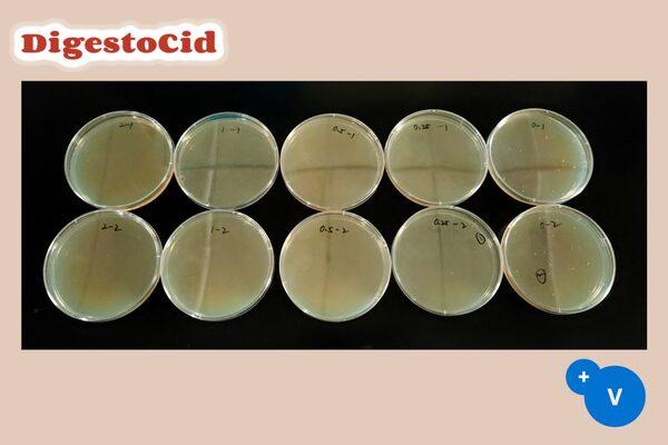Use of DigestoCid© to eliminate E. Coli from drinking water - Image 3