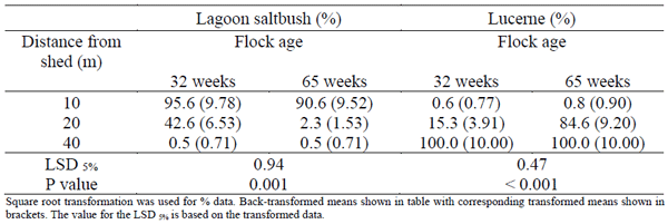 Interaction effect of flock age x distance from the shed on % lagoon saltbush and % lucerne on an egg farm in southern Australia during 2018.