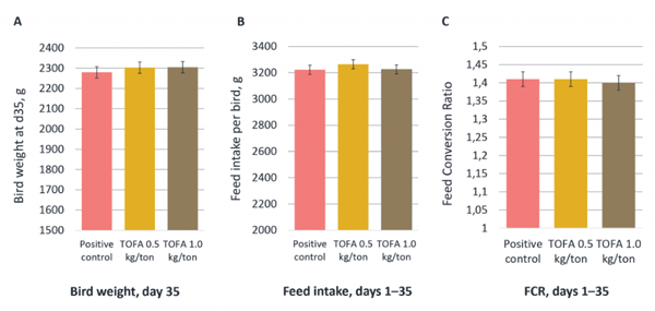 Figure 1. Effect of Progres® (TOFA) at 0.5 kg/ton or 1.0 kg/ton on bird weight on day 35 (A), feed intake per bird for days 1–35 (B) and feed conversion ratio for days 1-35 (C), in comparison to the Lincomycin treatment (Positive control). The performance was statistically equal in all treatments.