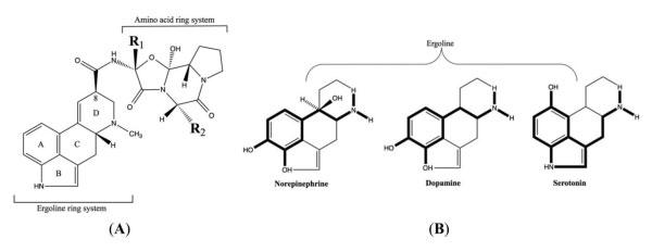 Figure 1. (A) Ergoline ring system common to all ergot alkaloids. Epimerization occurs at C8 and substitutions on R1 and R2 to create the various ergopeptine alkaloids. (B) Structural similarity to the catecholamines, norepinephrine, dopamine, and serotonin explains most of the physiological actions of the ergot alkaloids (adapted from Klotz, 2015). 